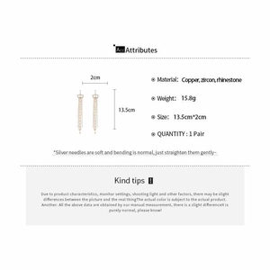 Detailed size chart showing long tassel earrings measuring 13.5cm by 2cm with dimensions