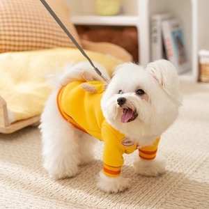 Detail of yellow pet sweatshirt featuring Lucky patch and orange striped ribbed cuffs