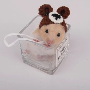 Macro detail of a brown knitted bear hat for hamsters and small pets on a clear glass jar