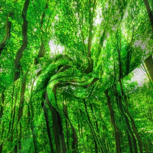 Dettaglio del drappeggio del tessuto e della vivida stampa forestale con alberi verdi