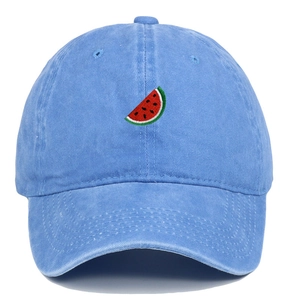 Detail of watermelon embroidery on light blue washed cotton baseball dad hat