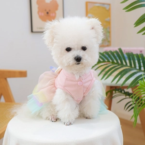 Pink knit pet dress with rainbow mesh skirt worn by white dog on a stool