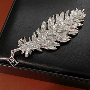Macro view of silver feather brooch with rhinestones and star pendant on leather box