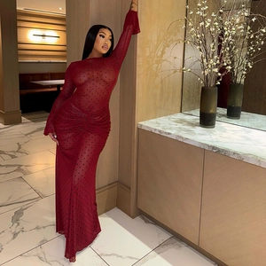 Slim fit burgundy polka dot mesh maxi dress with long sleeves and pleated details