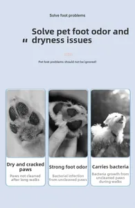 Infographic showing dog foot foam solving dry paws, bad odors, and bacterial issues