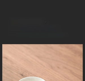 Macro detail of the smooth white ceramic finish and durable glaze on the kung fu teacup