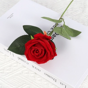 Velvet artificial red rose with green leaves on white background for home wedding decor