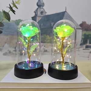 Detail of green eternal rose with LED string lights in glass dome on black base