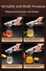 Macro detail of a zinc alloy manual juicer pressing strawberries, lemons, and oranges