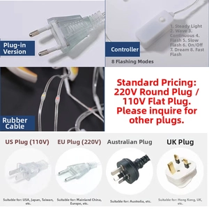 Waterproof LED Christmas lights with global plug adapters and 8 flash mode controller