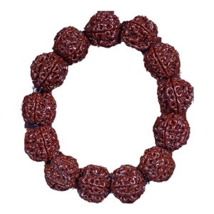 Authentic brown 5-mukhi Rudraksha bodhi seed bracelet with twelve textured beads