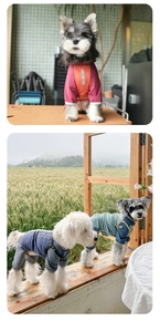 Details eines atmungsaktiven Hunde-Overalls mit Stehkragen und Outdoor-Print