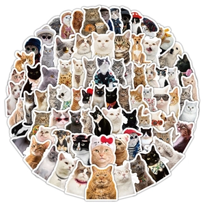 Autocollants Réalistes Chat Chien Pour DIY Décoratif Scrapbooking Ordinateur Gourde Imperméable Photos Animaux Mignons Stickers Papeterie