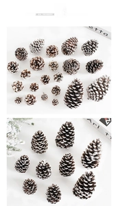 Détail de pommes de pin naturelles aux pointes blanches pour décoration de Noël DIY