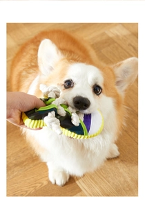 Cucciolo di Corgi gioca al tiro alla fune con un resistente gioco in corda a forma di scarpa