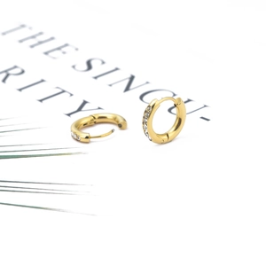 Gold round stainless steel hoop earrings with micro-pave cubic zirconia crystals
