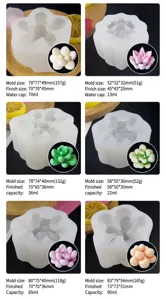 Size chart for 6 3D succulent silicone molds showing dimensions and candle volume details
