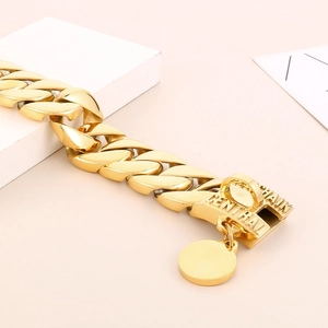 Close-up of golden Cuban link dog collar with polished round tag and secure clasp
