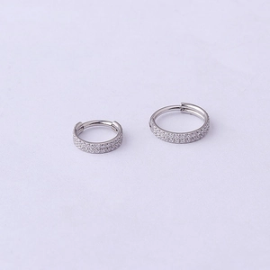 Dual-row zircon stainless steel hinged nose rings and hoop earrings in two sizes