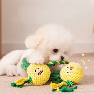 Dog chew toy with pineapple plush and cotton rope for interactive play and dental care