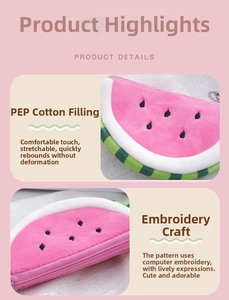 Detail of plush watermelon coin purse featuring soft pink fabric and computer embroidery