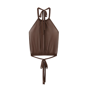 Detail of brown mesh halter neck crop top featuring tie-up straps and sheer texture