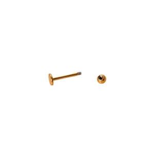 Golden titanium 16G horseshoe circular barbell body piercing jewelry on a white background