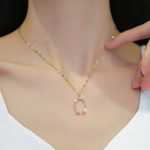 Titanium steel horseshoe necklace with pavé zircon pendant shown on model neck