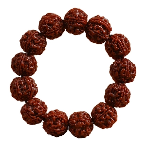 Brown Rudraksha Bodhi bead bracelet with 13 textured seeds on a clean white background