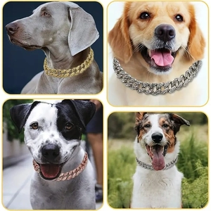 Close-up of Cuban link pet collar featuring iced-out rhinestones in gold and silver