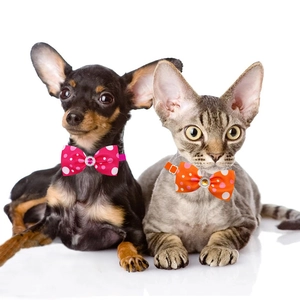 Hunde- und Katzenhalsband mit Polka-Dot-Schleife und Strassstein auf weißem Grund