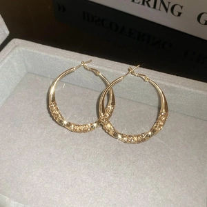 Detailed macro view of large gold hoop earrings with sparkling texture in a jewelry box