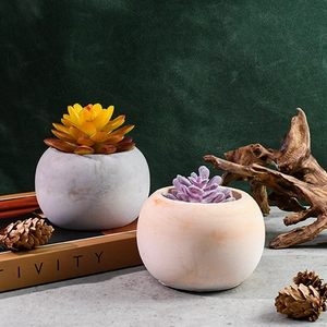 Vue détaillée de deux pots de succulentes avec plantes jaunes et violettes sur socles