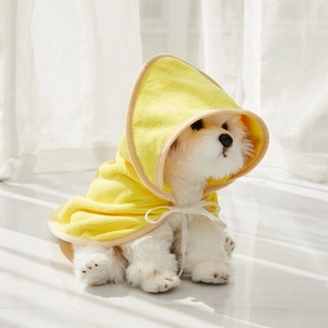 Close-up of a white dog wearing a yellow microfiber hooded bathrobe with tie closure