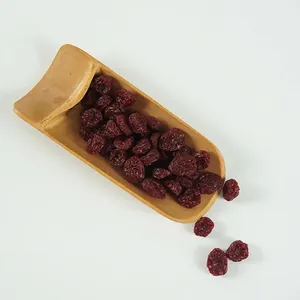 Realistic artificial dried cranberry fruit model for play food and kitchen decoration