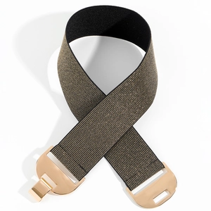Elastic woven belt with golden D-shape interlocking buckle for women on white background