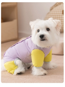 Détail du manteau bicolore pour chien avec surpiqûres et poignets élastiques bleu clair