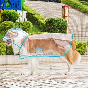 Transparent waterproof pet raincoat with blue edges and hood for large dogs in parks