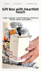 Close-up of elegant white Christmas gift box with black ribbon handle and festive decor
