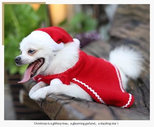 Detail of red pet Christmas cape and hat set with white plush trim on a small dog