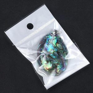 Iridescent oval abalone shell pendant necklace with metal rim on black background
