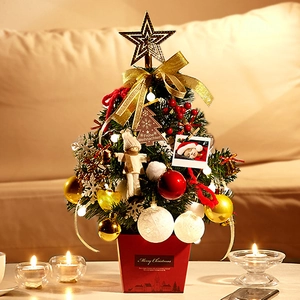 Mini lighted Christmas tree with gold star topper and warm LED lights on table