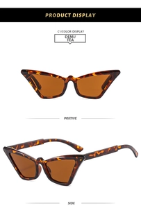 Detail view of retro cat-eye sunglasses in tortoiseshell frame with tea-colored lenses