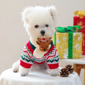 Close-up of a festive dog Christmas sweater with a reindeer scarf in a cozy home setting