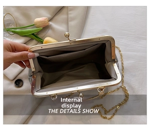 Detail view of the open chain bag showing grey lining, inner pocket, and gold chain strap