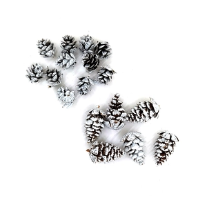 Flat lay of mixed size pine cones with white snow effect for Christmas DIY decoration