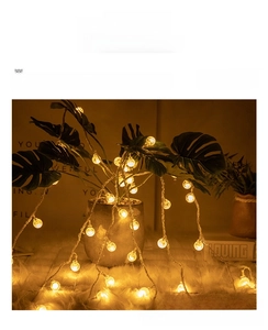 Detail of warm white LED globe string lights on transparent wire with frosted bulbs