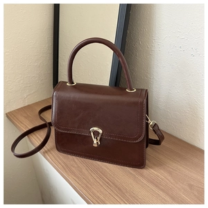 Detailed view of the dark brown leather texture and golden clasp on the handbag