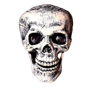 Halloween lighted skeleton head and hands set for garden stake spooky outdoor decoration
