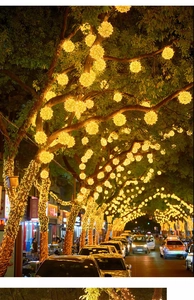 Dettaglio di sfere di rattan a LED giallo caldo e luci a stringa per alberi esterni
